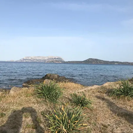 Gli Oleandri *